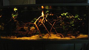 Click image for larger version

Name:	IMG_5168.jpg
Views:	252
Size:	101.9 KB
ID:	2130456