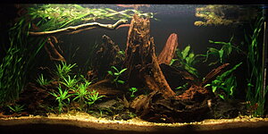 DSCF1026_resize.JPG