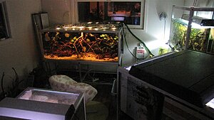 Click image for larger version

Name:	IMG_5186.jpg
Views:	317
Size:	120.1 KB
ID:	2130595