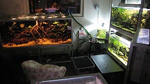 Click image for larger version

Name:	IMG_5188.jpg
Views:	350
Size:	127.8 KB
ID:	2130596