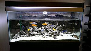Click image for larger version

Name:	20110110316.jpg
Views:	117
Size:	98.0 KB
ID:	2130621
