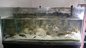 Click image for larger version

Name:	20110116323.jpg
Views:	99
Size:	107.5 KB
ID:	2130825