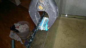 Click image for larger version

Name:	20110116333.jpg
Views:	99
Size:	71.6 KB
ID:	2130835