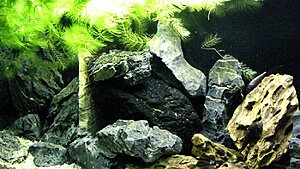 Click image for larger version

Name:	IMG_5279.jpg
Views:	290
Size:	185.6 KB
ID:	2130994