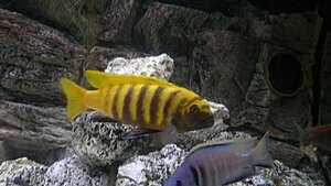 Click image for larger version

Name:	20110124034.jpg
Views:	122
Size:	92.3 KB
ID:	2131119