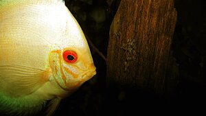 Click image for larger version

Name:	IMG_5468.jpg
Views:	229
Size:	70.1 KB
ID:	2131981