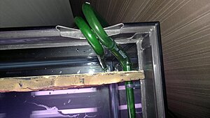 20110210331[1].jpg