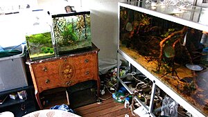 Click image for larger version

Name:	IMG_5733.jpg
Views:	246
Size:	137.1 KB
ID:	2132944