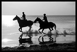 Klicka på bilden för större version

Namn: strandridning3.jpg
Visningar: 105
Storlek: 240,2 KB
ID: 2134831