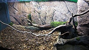 Click image for larger version

Name:	IMG_7374.jpg
Views:	147
Size:	213.2 KB
ID:	2135785