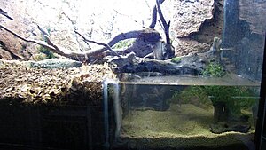 Click image for larger version

Name:	IMG_7375.jpg
Views:	172
Size:	162.2 KB
ID:	2135786