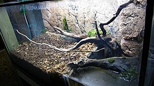 Click image for larger version

Name:	IMG_7378.jpg
Views:	148
Size:	176.1 KB
ID:	2135789