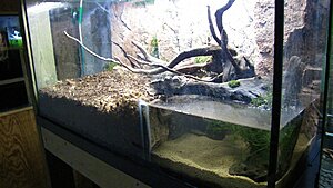 Click image for larger version

Name:	IMG_7379.jpg
Views:	169
Size:	140.8 KB
ID:	2135790