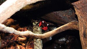 Click image for larger version

Name:	IMG_7512.jpg
Views:	212
Size:	102.7 KB
ID:	2136255