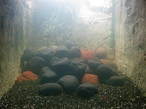 Click image for larger version

Name:	IMG_7576.jpg
Views:	186
Size:	151.7 KB
ID:	2136451