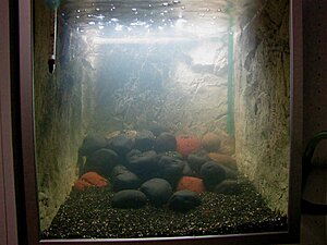Click image for larger version

Name:	IMG_7577.jpg
Views:	169
Size:	143.0 KB
ID:	2136452