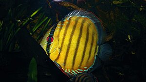 Click image for larger version

Name:	IMG_2135.jpg
Views:	169
Size:	79.0 KB
ID:	2136534