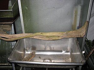 2011 005.jpg