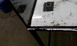 20111114_172359.jpg