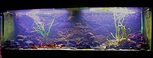 Klicka på bilden för större version

Namn: DSCN0387.jpg
Visningar: 307
Storlek: 58,5 KB
ID: 2137758