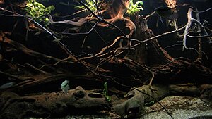Click image for larger version

Name:	IMG_8084.jpg
Views:	162
Size:	123.5 KB
ID:	2139053