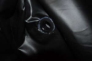 DSC_0484.jpg
