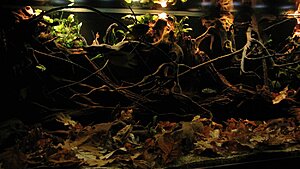 Click image for larger version

Name:	IMG_8097.jpg
Views:	212
Size:	122.7 KB
ID:	2139371