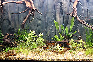 Klicka på bilden för större version

Namn: 026.JPG
Visningar: 296
Storlek: 354,0 KB
ID: 2139807