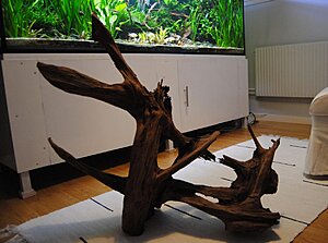 Klicka på bilden för större version

Namn: xxlrot.jpg
Visningar: 200
Storlek: 119,3 KB
ID: 2140263