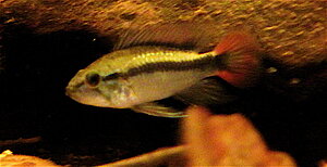 Klicka på bilden för större version

Namn: IMG_8277_2.JPG
Visningar: 241
Storlek: 206,8 KB
ID: 2140271