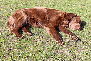 Klicka på bilden för större version

Namn: 030.JPG
Visningar: 241
Storlek: 414,5 KB
ID: 2140616