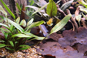 Klicka på bilden för större version

Namn: 028.JPG
Visningar: 210
Storlek: 263,4 KB
ID: 2141539