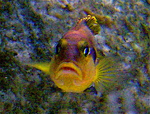 Klicka på bilden för större version

Namn: 3. DSCN2001_2.JPG
Visningar: 240
Storlek: 140,7 KB
ID: 2142410