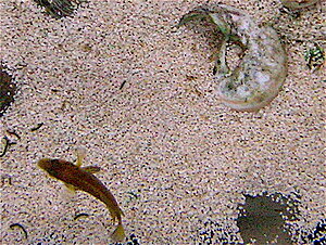 Klicka på bilden för större version

Namn: 1. DSCN1792_2.JPG
Visningar: 220
Storlek: 305,3 KB
ID: 2142413