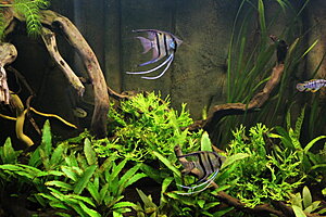 Klicka på bilden för större version

Namn: 072.JPG
Visningar: 248
Storlek: 305,7 KB
ID: 2142588