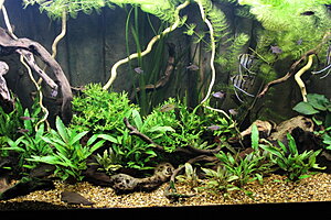 Klicka på bilden för större version

Namn: 014.JPG
Visningar: 274
Storlek: 350,7 KB
ID: 2142907