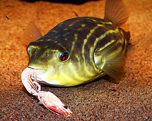 Klicka på bilden för större version

Namn: DSC_3026.JPG
Visningar: 238
Storlek: 725,8 KB
ID: 2143480