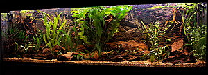 Klicka på bilden för större version

Namn: 2 meter.jpg
Visningar: 320
Storlek: 517,9 KB
ID: 2144357