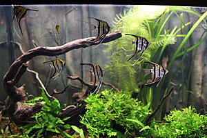 Klicka på bilden för större version

Namn: 022.JPG
Visningar: 272
Storlek: 248,9 KB
ID: 2144430