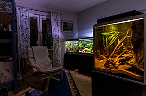 Click image for larger version

Name:	Akvarierum-1.jpg
Views:	217
Size:	808.2 KB
ID:	2144538