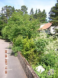 Klicka på bilden för större version

Namn: DSCN4838.jpg
Visningar: 176
Storlek: 306,1 KB
ID: 2146346