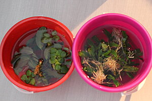 Klicka på bilden för större version

Namn: 011.JPG
Visningar: 272
Storlek: 194,2 KB
ID: 2146760