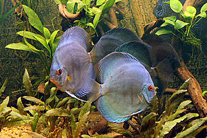 Klicka på bilden för större version

Namn: 039.JPG
Visningar: 254
Storlek: 482,1 KB
ID: 2148880