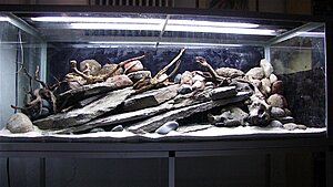 Click image for larger version

Name:	IMG_9317.jpg
Views:	179
Size:	146.0 KB
ID:	2149097