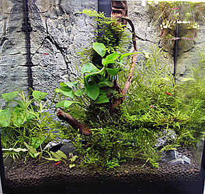 Klicka på bilden för större version

Namn: 003.JPG
Visningar: 248
Storlek: 372,4 KB
ID: 2149170