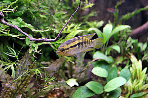 Klicka på bilden för större version

Namn: 019.JPG
Visningar: 233
Storlek: 443,3 KB
ID: 2149530