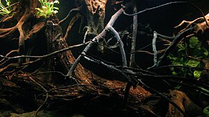 Click image for larger version

Name:	IMG_8088.jpg
Views:	208
Size:	118.3 KB
ID:	2149544