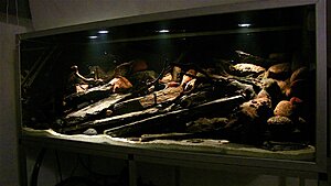 Click image for larger version

Name:	IMG_9566.jpg
Views:	275
Size:	110.1 KB
ID:	2154576