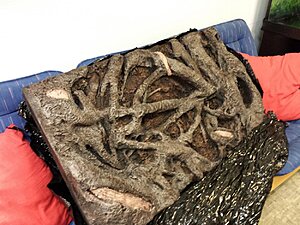 20131122_143022.jpg