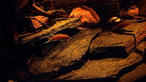 Click image for larger version

Name:	IMG_9617.jpg
Views:	115
Size:	171.2 KB
ID:	2155029